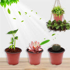 Set of 100 Plastic Plant Flower Pots for Nursery Seedlings
