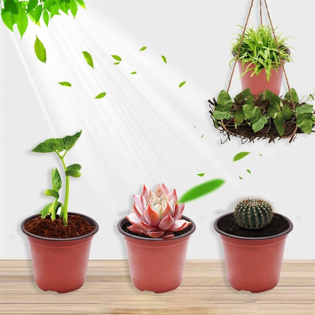Set of 100 Plastic Plant Flower Pots for Nursery Seedlings