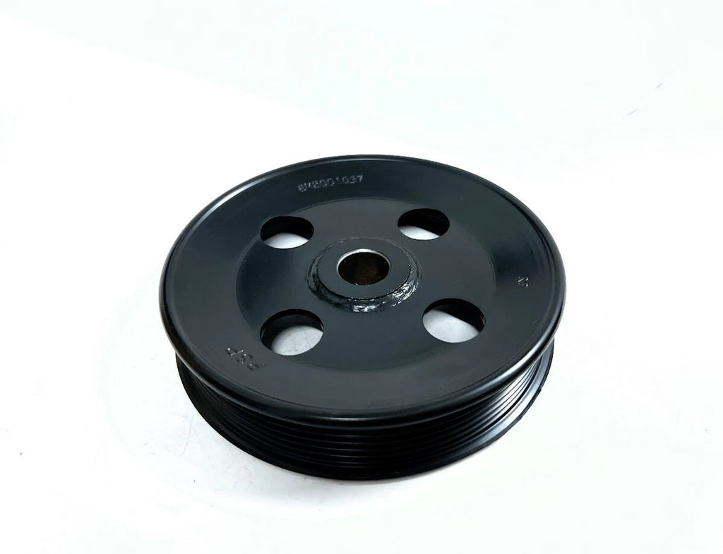 Power Steering Pulley for Mercury Quicksilver (OEM 8M2001037)