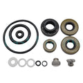Lower Gearcase Seal Kit with Drain Screws for Johnson Evinrude 9.9 15 HP (396350)