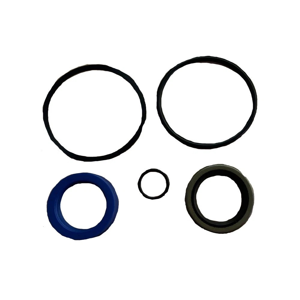 Hydraulic Cylinder Seal Kit for Ford Skid Steer Loader CL45 (TH23532)