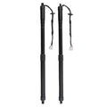 2X Rear Trunk Liftgate Struts for Nissan Rogue 2014–2019