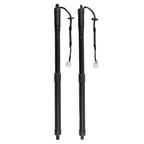 2X Rear Trunk Liftgate Struts for Nissan Rogue 2014–2019