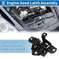 Hood Latch Assembly for Volkswagen Jetta (1999–2005) 1J0823509C