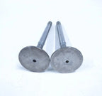 2X Engine Valve for Volvo Penta (421016)