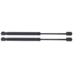Set of 2 Hood Lift Supports for Coupe Sedan (Driver & Passenger Side)