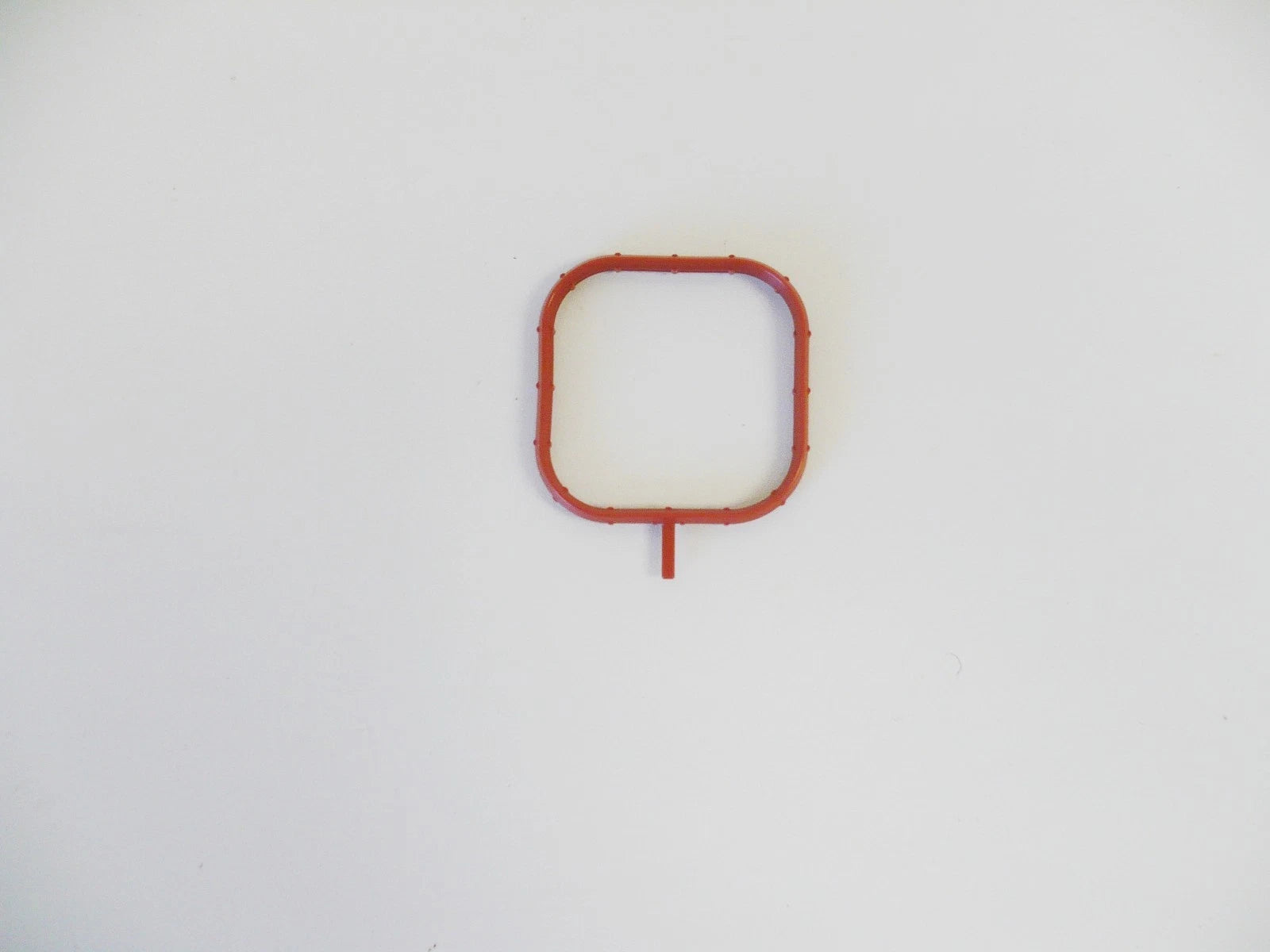 WSM Gasket for