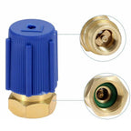 Cap Valve Kit 1.6MPa~3.2MPa 1/4" SAE Female Thread Retrofit A/C for BPV31