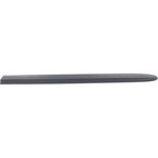 Set of 2 Door Molding and Beltlines for Dodge Grand Caravan (2002–2004)