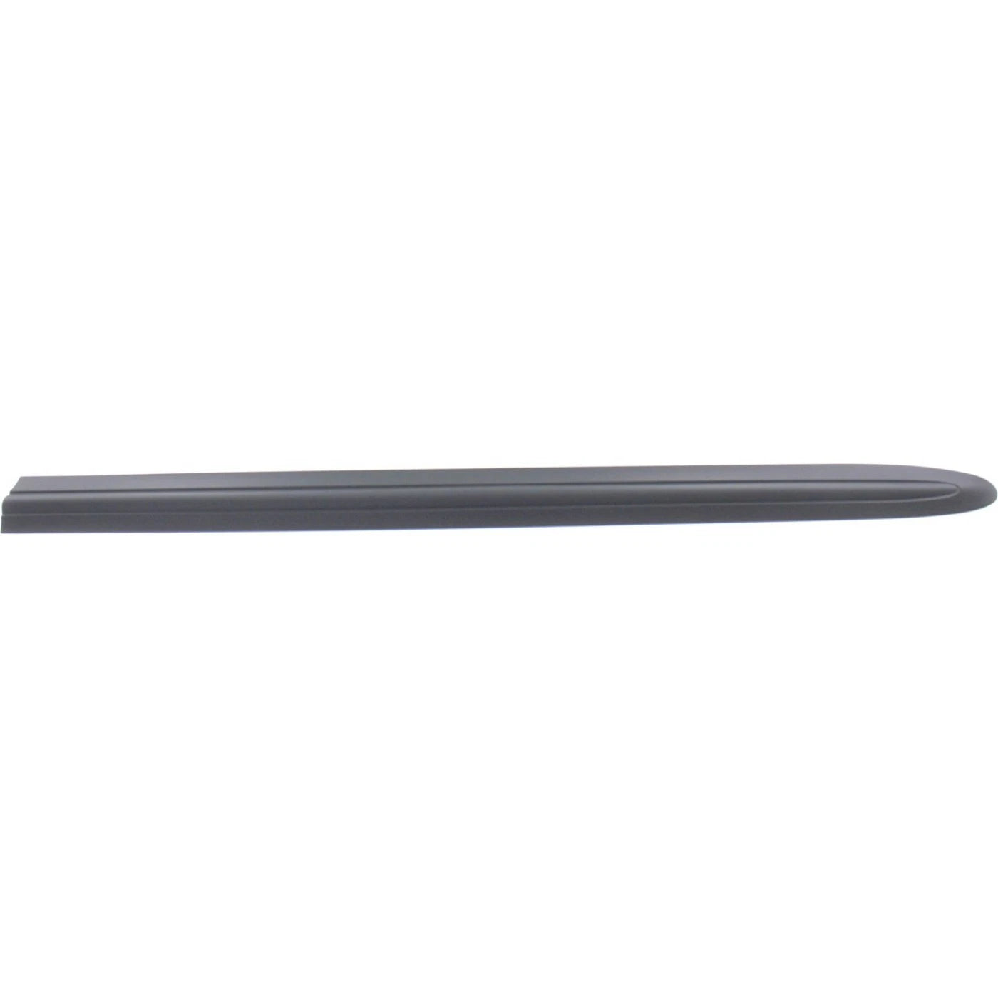 Set of 2 Door Molding and Beltlines for Dodge Grand Caravan (2002–2004)