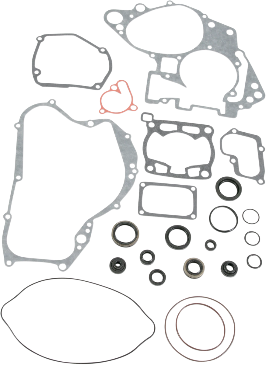Motor Gasket Kit with Oil Seal for Suzuki (811549mse)