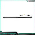 2X Gas Struts Lift Supports for Volvo XC60 (2019–2020)