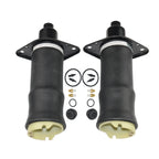 2X Air Suspension Springs for Audi A6 Allroad (1999–2005)