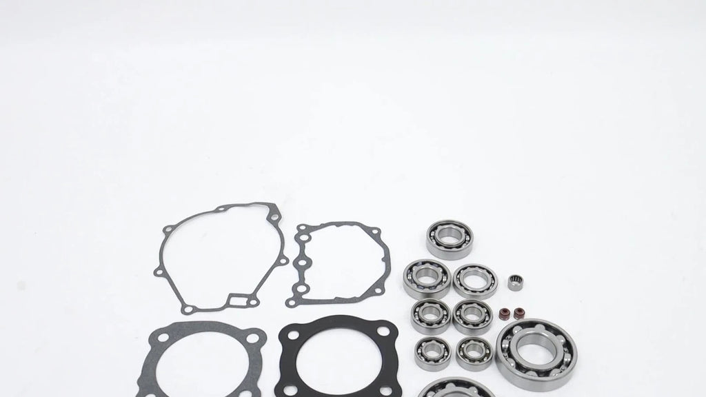 Complete Gasket Set and Bearings for Honda TRX 350TE Rancher (2000–2006)