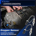 Upstream & Downstream O2 Sensors for Ford F-150 4.2L (2005–2008) 2344403/25024701