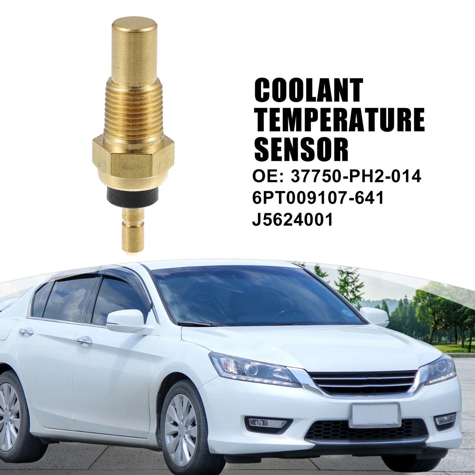 Coolant Temperature Sensor for Honda Accord (2003–2007) 37750-PH2-014 6PT009107-641