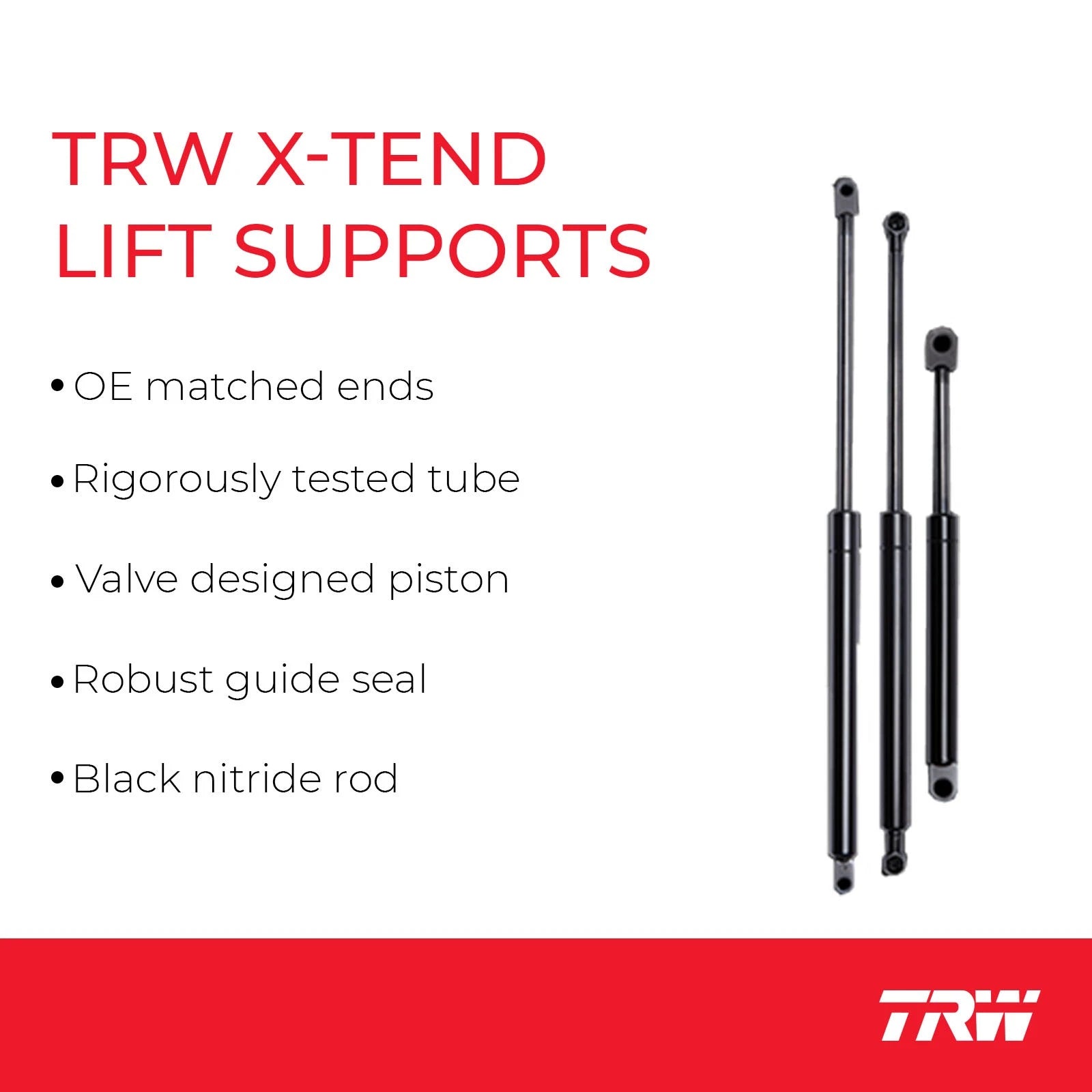 Hatch Lift Support for Ford Escape (2013-2019)