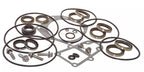 Seal Kit for Johnson Evinrude 150-250 Lower Unit Gearcase (5006373, 439141)