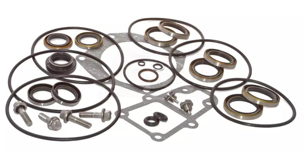 Seal Kit for Johnson Evinrude 150-250 Lower Unit Gearcase (5006373, 439141)