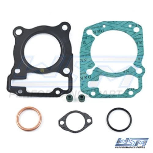 Gasket Kit for WSM