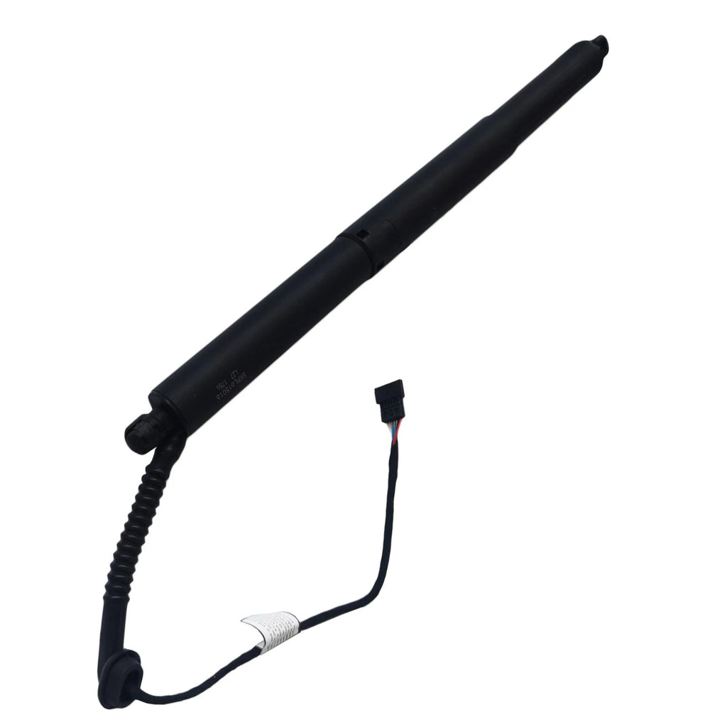 Left Driver Lift Gate Shock for BMW X5 F15 (2014–2017) 51247294469 615016