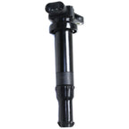 Ignition Coils for Hyundai Santa Fe, Kia Optima (2006)
