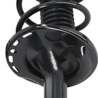 Complete Strut Coil Spring for Toyota RAV4 (2013-2018)