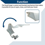Hood Hinges for Toyota Tacoma (2015–2022) 1 Pair No. 5341004020