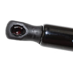 2X Gas Spring Hatch Liftgate Support for Dodge Magnum (2005–2008)
