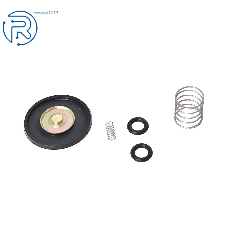 Accelerator Pump Rebuild Kit for E & G Carburetor (US)