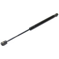 Hood Lift Supports Set of 2 for Acura TL