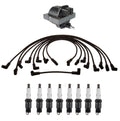 Ignition Wires & 1 Coil & 8 Spark Plugs for Chevrolet Blazer C1500 (1995–2005)
