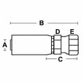 Female JIC 37° Straight Swivel for Universal Products (106HY-16-16, 16U-61)