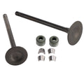 Valve Seal Kit for Honda CG125 (156FMI)