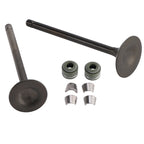 Valve Seal Kit for Honda CG125 (156FMI)