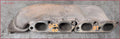 Exhaust Manifold Set for Jaguar XJ8 4.2L (2004–2007) 5W93-8431-AA 5W93-8430-AA