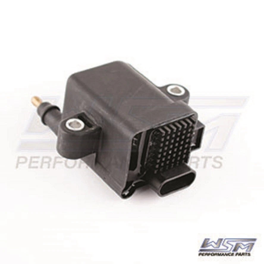 WSM Ignition Coil for Mercury Mercruiser 30-250 HP (2001–2010) 376-9984