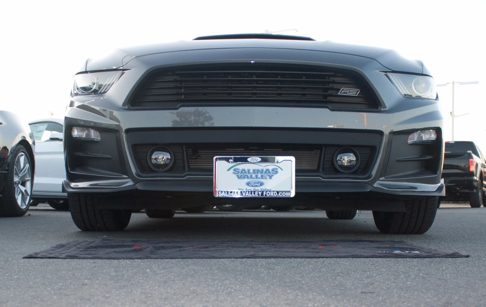 License Plate Bracket Replacement for 2015–2017 Ford Mustang Roush (Removable)