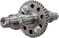 S&S Cycle Camshaft Kit for Royal Enfield 650 Twins (2018–2023) 330-0709
