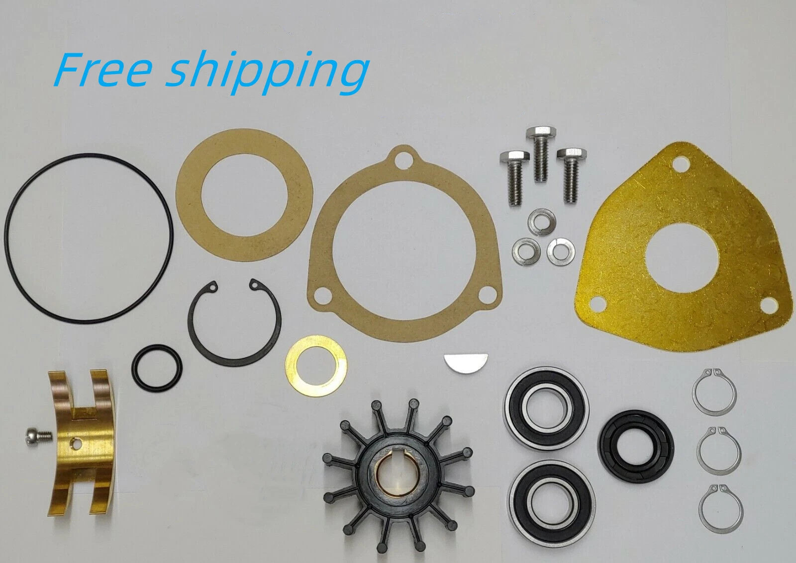 Major Repair Kit for Sherwood Pumps G903 G908 (Universal)