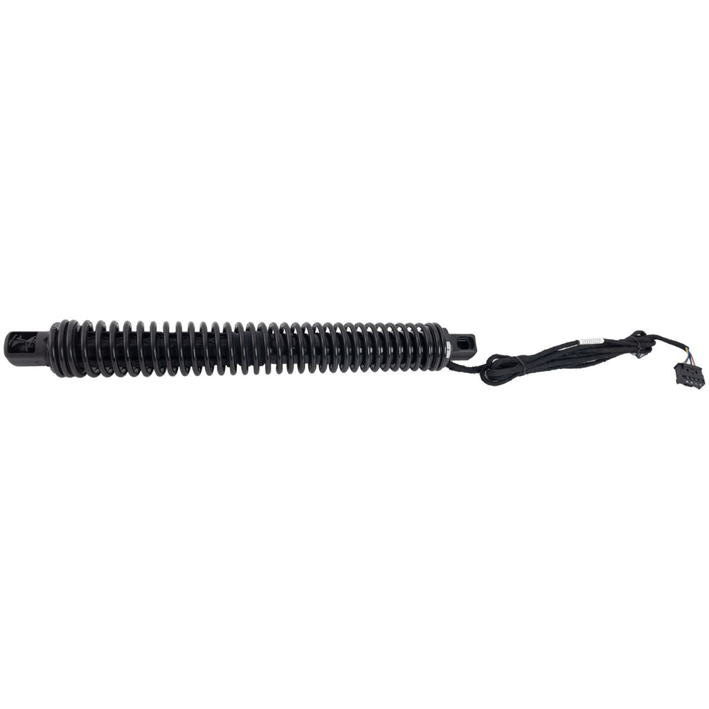 Trunk Lid Lift Supports for BMW 740 760 750 (Sedan)