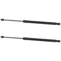 Set of 2 Liftgate Lift Supports for BMW X5