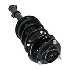 Pair Front Struts w/ Coil Spring for Hyundai Elantra (2000–2006) 171405