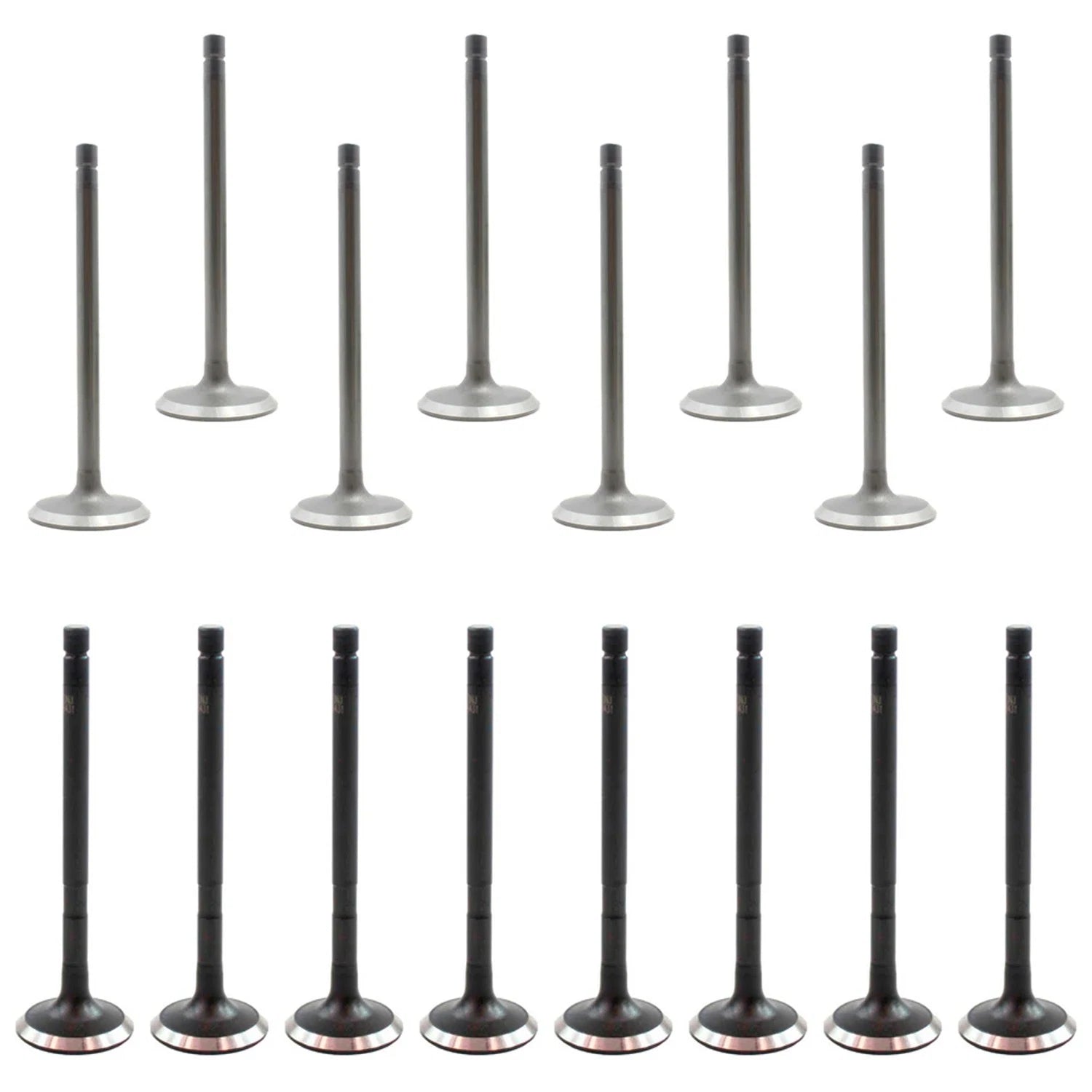 Set of 16 Intake & Exhaust Valves Kit for Cougar Escape Escort Focus (2000–2009)