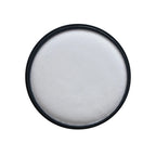 Pre-Motor Filter for