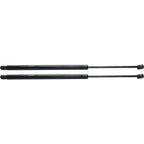 Set of 2 Liftgate Lift Supports for Acura MDX