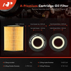 Engine Oil Filter for BMW 325Ci 330Ci 328Ci 323i (2000-2006)