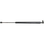 Hood Lift Supports for Ram Truck (Driver/Passenger Side)