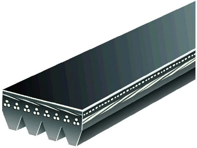 Multi Rib Belt for Mazda 626 (1998–2002) TS255SQ