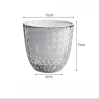 Transparent Self Watering Pot for Indoor Plants (Indoor Use)